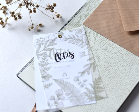 5x Insta-moms to follow